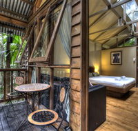 Daintree Wilderness Lodge - Australia Accommodation