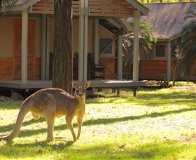 Carnarvon Gorge Wilderness Lodge - Australia Accommodation 3