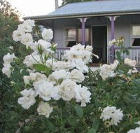 Thistledown Country Retreat - Australia Accommodation