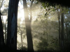 Bamboo Retreat - Australia Accommodation 2