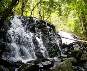 Bellthorpe Stays - Nature's Retreat - Australia Accommodation 1