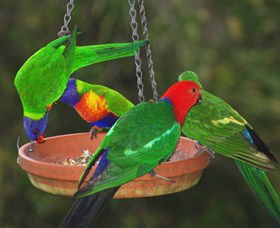 Bellthorpe Stays - Nature's Retreat - Australia Accommodation 3