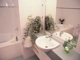 Braeside Bed And Breakfast - Australia Accommodation 2