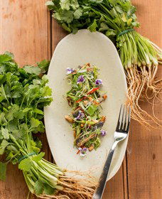 Spicers Tamarind Retreat - Australia Accommodation 2