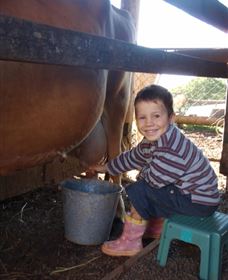 Brockhurst Farm Farmstay And Retreat - Australia Accommodation 2