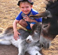 Destiny Boonah ECO Cottages and Donkey Farm - Australia Accommodation