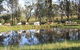 Destiny Boonah ECO Cottages And Donkey Farm - thumb 1