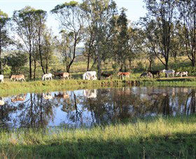 Destiny Boonah ECO Cottages And Donkey Farm - Australia Accommodation 1