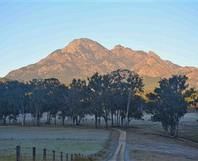 Barney Creek Vineyard Cottages - Australia Accommodation 3