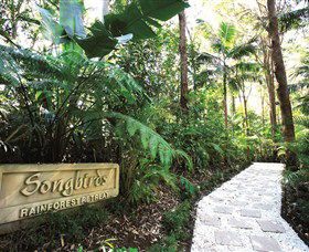 Songbirds Rainforest Retreat - Australia Accommodation 0