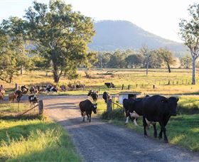 Kerry QLD Australia Accommodation