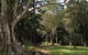 Beechmont Retreat - thumb 0