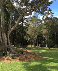 Beechmont Retreat - Australia Accommodation 0