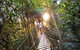 O'Reilly's Rainforest Retreat - thumb 0
