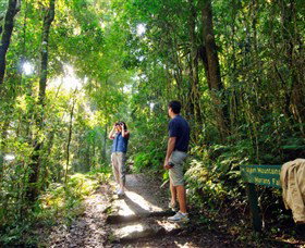 O'Reilly's Rainforest Retreat - Australia Accommodation 2