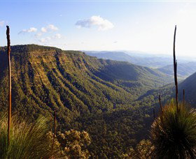 O'Reilly's Rainforest Retreat - Australia Accommodation 3