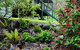 Cave Rock Cottages - thumb 3