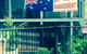 Coffs Shearwater Motel - thumb 9