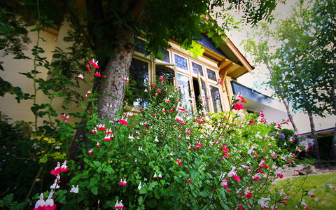 Cotswold Gardens Armidale - Australia Accommodation 2