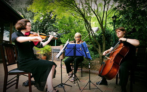 Cotswold Gardens Armidale - Australia Accommodation 16