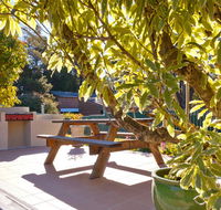 Best Western Alpine Motor Inn - Australia Accommodation