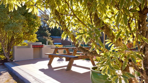 Best Western Alpine Motor Inn - Australia Accommodation 0