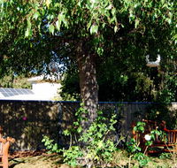 BEST WESTERN Wanderlight Motor Inn - Australia Accommodation