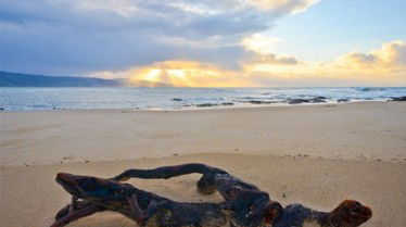 Best Western Apollo Bay Motel And Apartments - Australia Accommodation 7