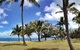 Palms Restaurant - thumb 2