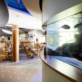 Pub Mooloolaba - Australia Accommodation 4