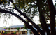 Richmond Motor Inn - thumb 15