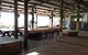The Beachcomber Hotel - thumb 5