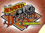 The Bearded Dragon Hotel - Australia Accommodation 0