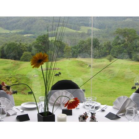 Tranquil Park Mountain Resort - Australia Accommodation 1