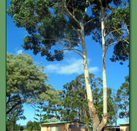 Kalgan River Chalets and Caravan Park - Australia Accommodation