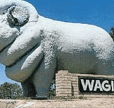 Wagin Motel - Australia Accommodation