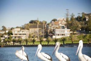 The Sebel Harbourside Kiama - Australia Accommodation 1