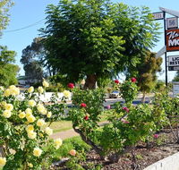 Narrogin Motel - Australia Accommodation