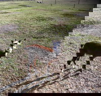 Kellraine Holiday Units - Australia Accommodation