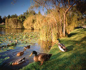 Country Club Tasmania - Australia Accommodation 5