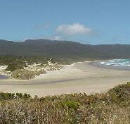 Cloudy Bay Cabin - Australia Accommodation