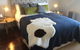 Highfield House Bed And Breakfast - thumb 3