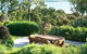 Olive's Cottage - thumb 0