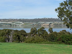 Olive's Cottage - Australia Accommodation 1