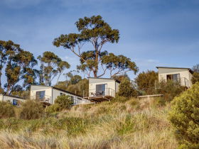 Swansea Beach Chalets - Australia Accommodation 0