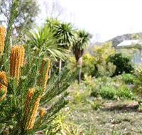 Yooringa Garden Cottage - Australia Accommodation