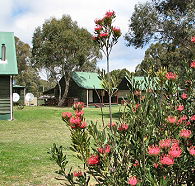 Derwent Bridge Chalets  Studios - Australia Accommodation