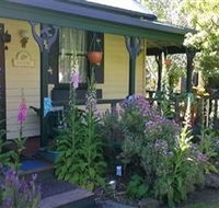 Blue Wren Riverside Cottage - Australia Accommodation