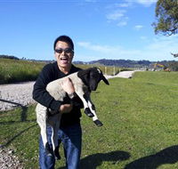Hurlfield Farm Cottage - Australia Accommodation