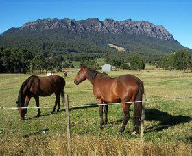 Hurlfield Farm Cottage - Australia Accommodation 4